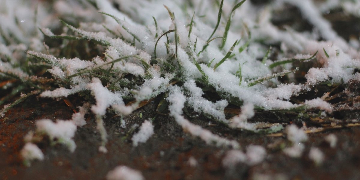 Настоящая зима атакует: когда ударят морозы и выпадет снег в Краснодарском крае Настоящая зима атакует: когда ударят морозы и выпадет снег в Краснодарском крае